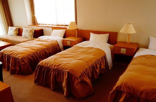 A room for families and good friends 2 meals incl / Chino Nagano