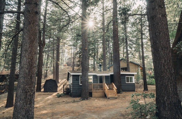 A Scenic Mountain Escape! 2 BDR Cabin, 5 Min to Green Valley Lake & Pet Friendly