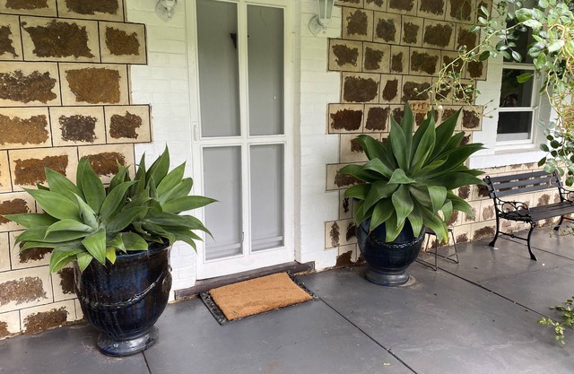 A secluded rural cottage in lovely gardens minutes from the beach