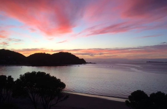 A Slice of Kiwi Paradise!