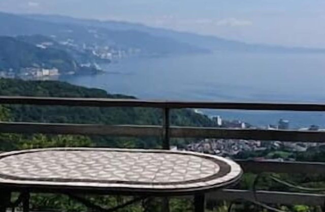 A spectacular view! Relax on the sea-view terrace/Scandinavian log house with hot spring & fireplace
