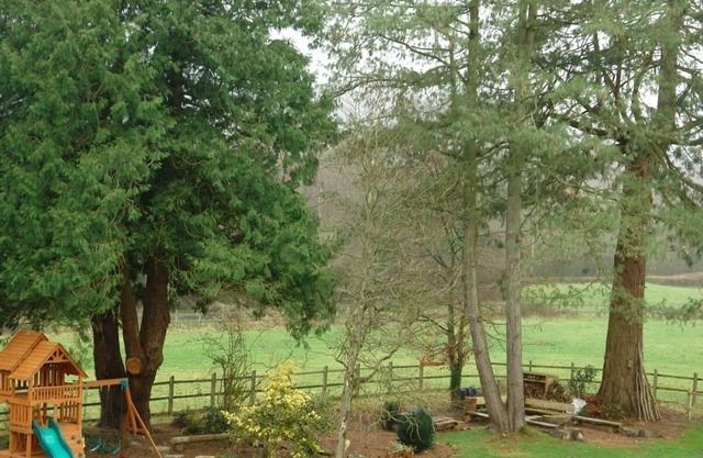 Abbots Manor