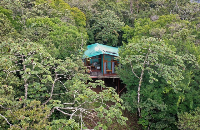 Above the Gulf House: Spectacular Ocean View!
