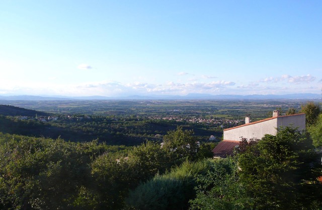 Above the vineyards on the forest slope: cozy apartment with a dream view