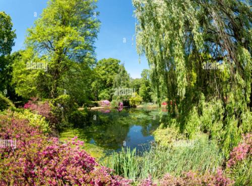 Absolutely Stunning 1BR flat, 20 min to the Centre