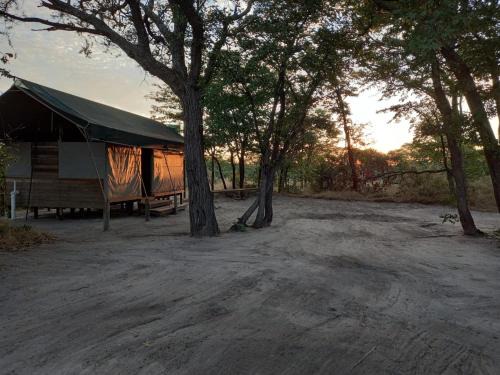 Acacia Camping