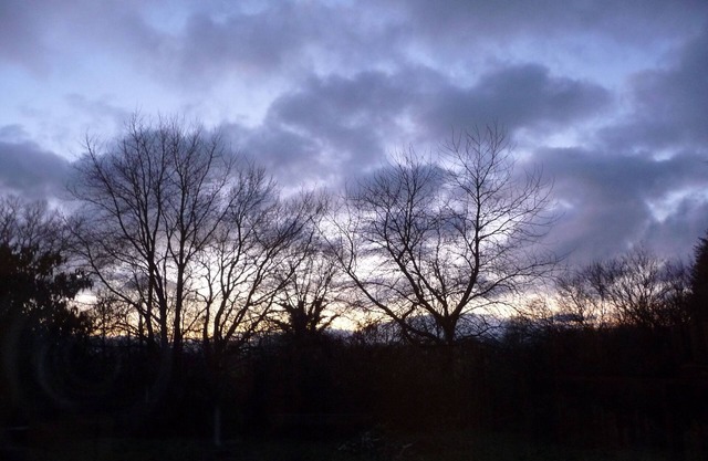Accommodation in the tranquil southwest of Rügen(2)