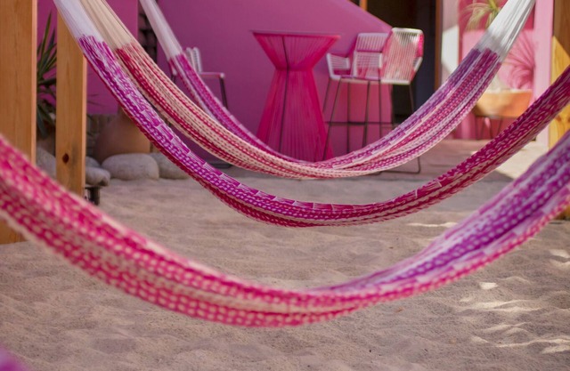 Acogedora Habitación EN EL Corazón DE Oaxaca