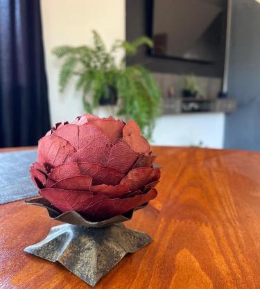 Acomodação Bela Vista