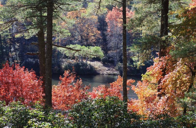 Acorn Cabin - Close to Town