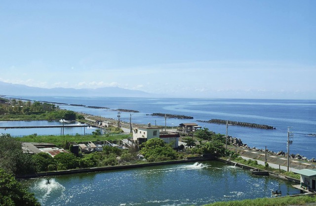 Adagio Dapeng Bay