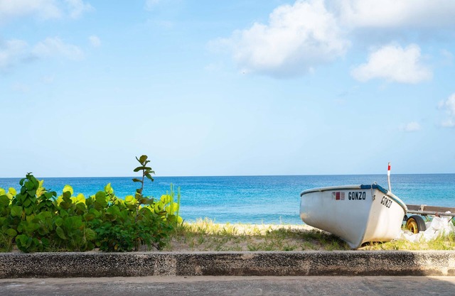 Adorable beachside 1-bedroom apartment
