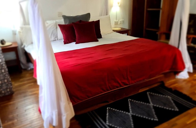 Adorable one room bed room w-shared lounge and kitchen town Ace