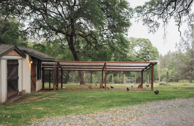 Adorable tiny home on a mini farm in Gold Country