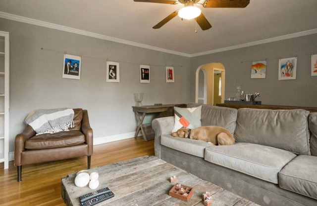 Adventure Doggie's K9 Cottage @ Berwyn MainLine - No Pet Fees