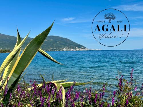 Agali Studios 1