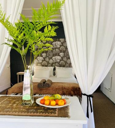 Agapanthus garden cottage