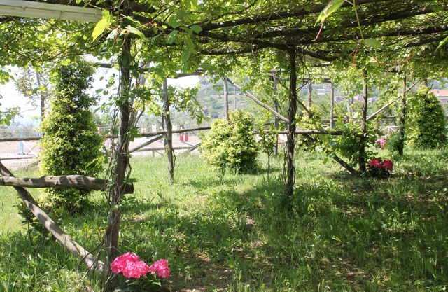 Agriturismo Piccolo Paradiso