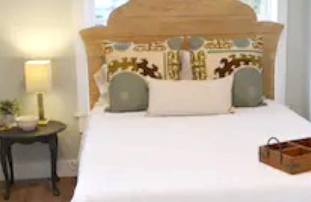 Airy and Bright Old Village Apartment in the heart of Mount Pleasant