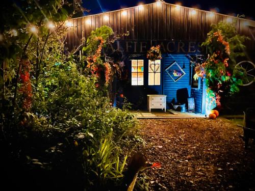 Alfie Acres - Secluded Cabin set in 5 Acres of Privacy, with Exclusive use of Swimming Pool and Hot Tub for up to 10 Guests