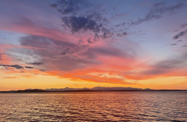 Alki Beach House right on the Puget Sound in Seattle, WA
