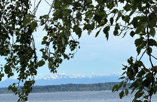 Alki Beach modern and cozy 3 bdrm home near dining, Lumen and T-Mobile park.