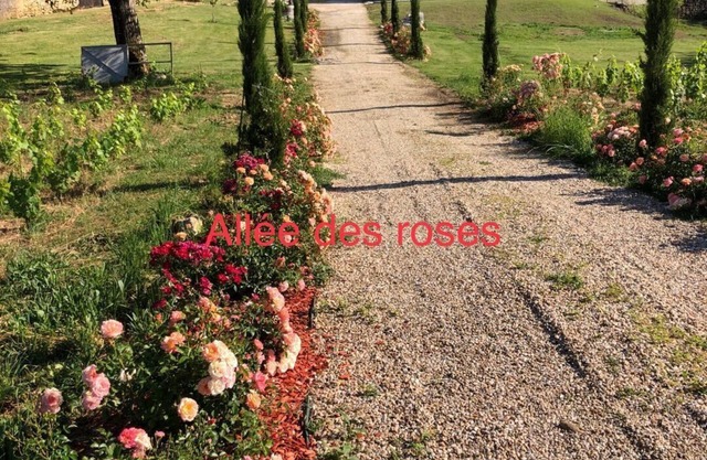 Allée des roses L’atelier