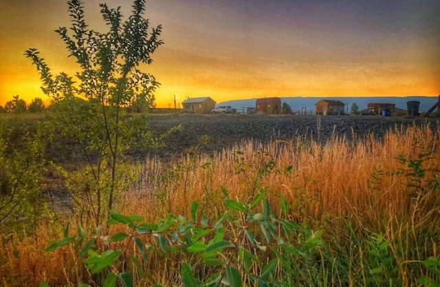 All 4 Triple View Tiny Homes