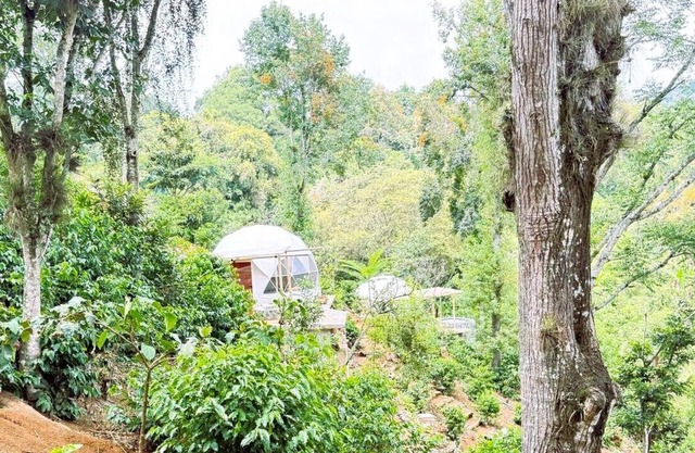 Alma Glamping