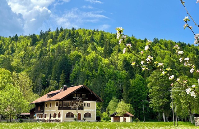 "Almrausch" holiday apartment - Gasthof Zipflwirt