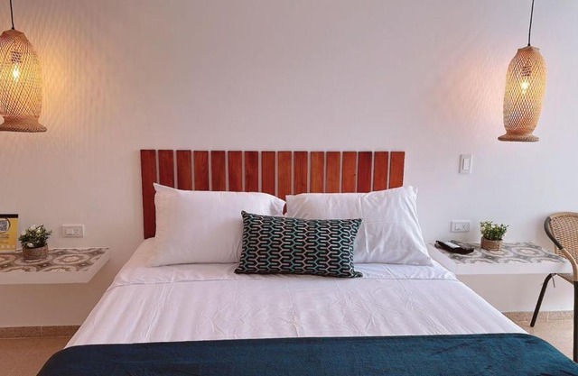 Aloja-T Hispania, Ant