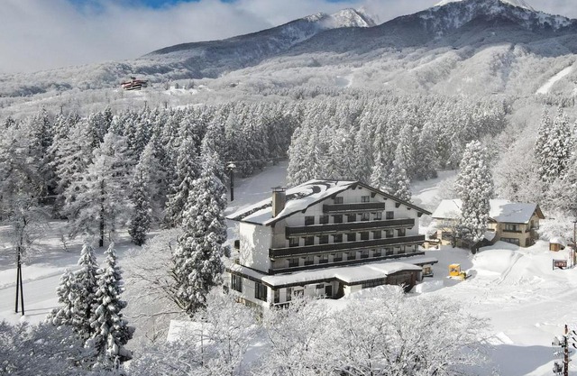 ALP MYOKO