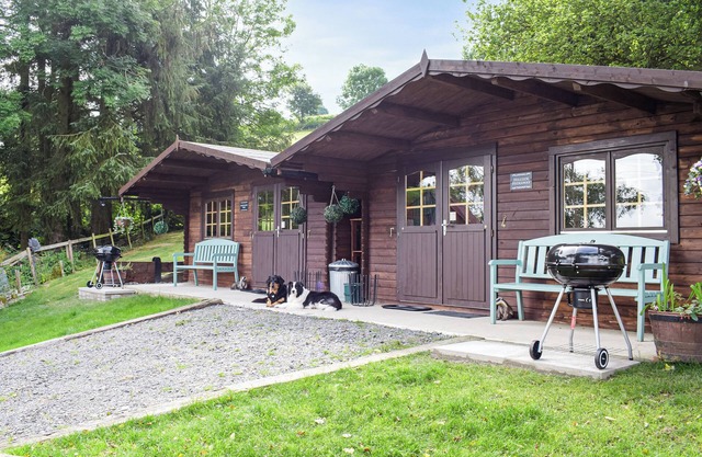 Alpaca Hideaway - UK35188