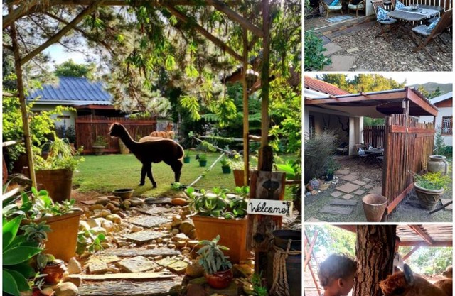 Alpaca Self Catering Cottage Kleinmond