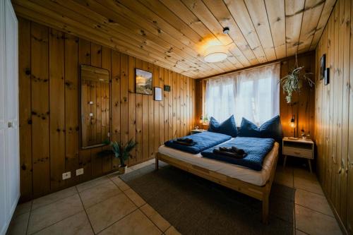 Alpine Oasis in Schwanden next to Brienz