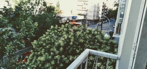 Alquiler tempor 2 amb amplios, excelente ubicación