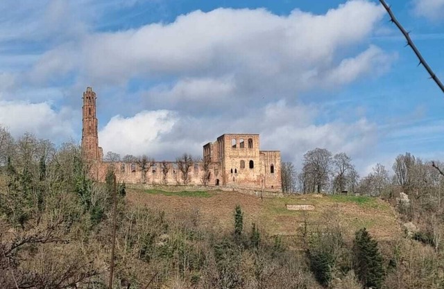 Also for pets - forests and castles in the middle of nature await you 🐕🌳🏰