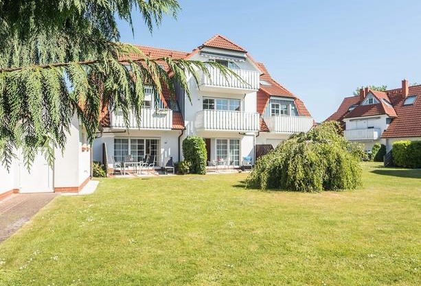 Alte Reihe 10 - Silbermöwe 1