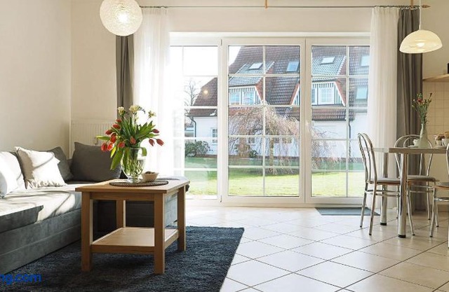 Alte Reihe 10 - Silbermöwe 2