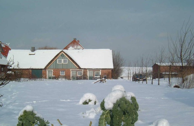 Alter Obsthof am Elbdeich - Holidays under the thatched roof - Thatched roof apartment 1