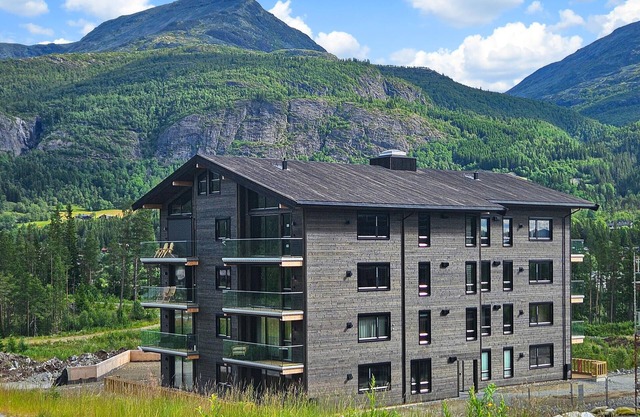 Amazing apartment in Hemsedal with WiFi