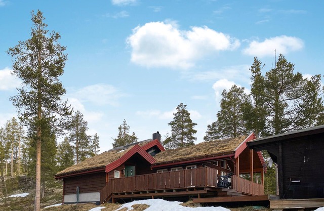 Amazing home in Lesjaverk with Wi-Fi
