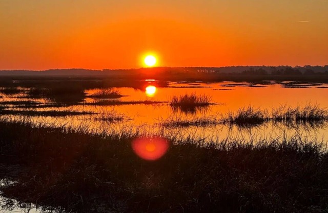 Amazing inlaw suite with marsh sunrise & incredible wildlife including dolphins