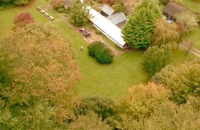 Amazing New Forest location - Sleeps up to 14 people