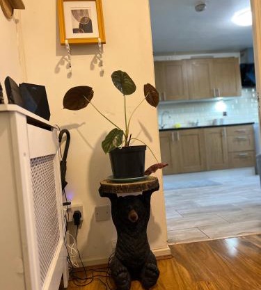 Amazing Rooms in the Heart of London