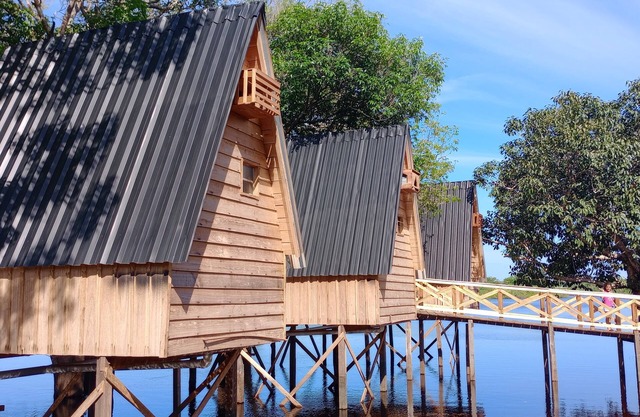 Amazon Private Tours Jungle Lodge