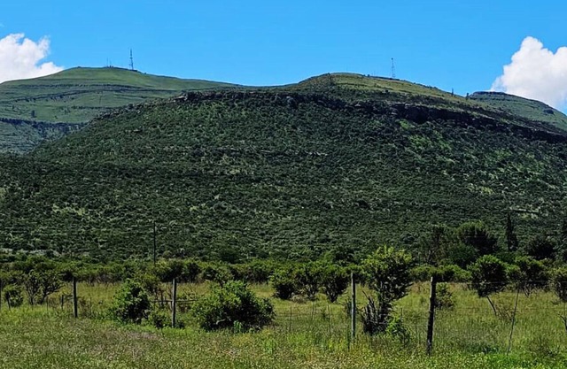 Amberdale Estate Self Catering