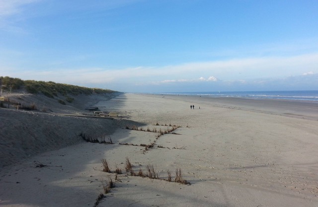 Ameland - apartment with balcony to the south side with a view of meadows and the village of Buren