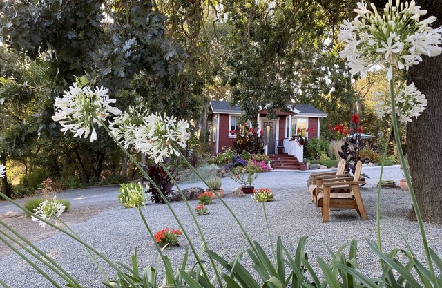 ~AMITABHA~ Wine Country Cottage! Perfectly Located in Santa Rosa