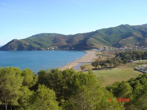 Amsabeach